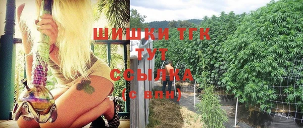 ПСИЛОЦИБИНОВЫЕ ГРИБЫ Абаза