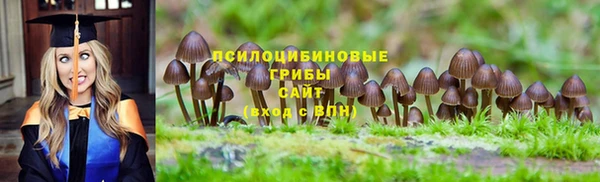 ПСИЛОЦИБИНОВЫЕ ГРИБЫ Абаза
