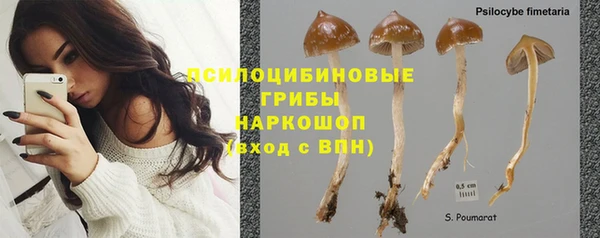 ПСИЛОЦИБИНОВЫЕ ГРИБЫ Абаза