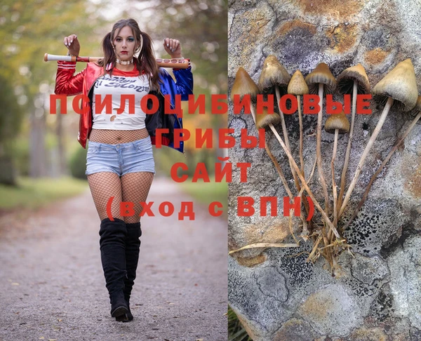 гидра Абдулино