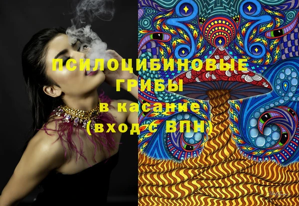 ПСИЛОЦИБИНОВЫЕ ГРИБЫ Абаза