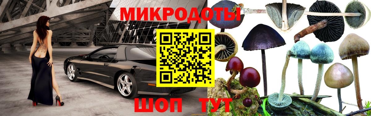 Псилоцибиновые грибы мухоморы Карасук