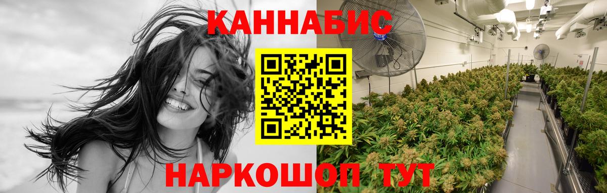 Шишки марихуана AK-47 Карасук